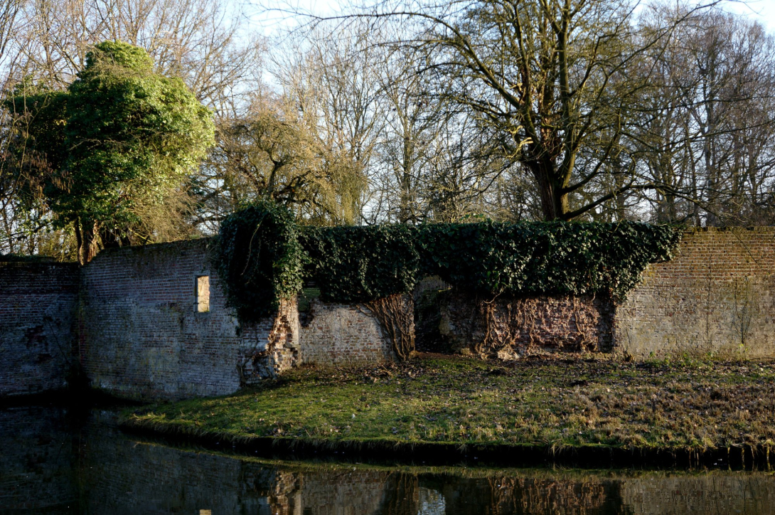 Kasteelruïne Ter Elst